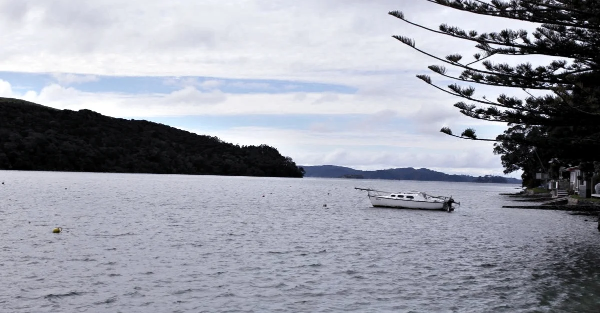 A Drive to Camp Kiwi