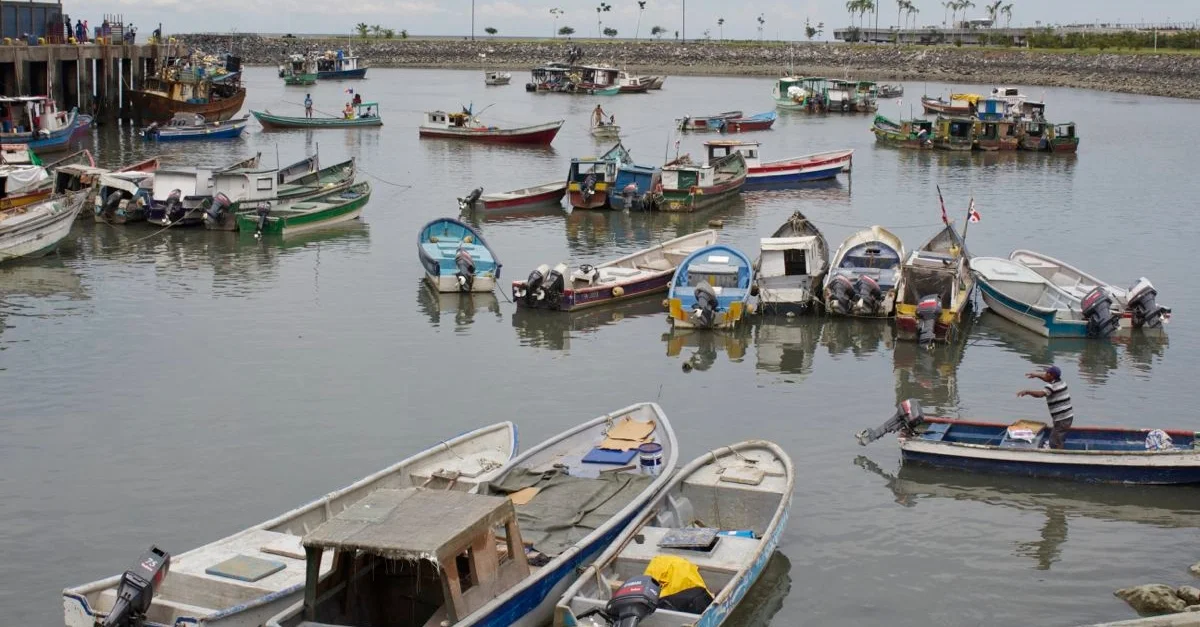Fishing Boats