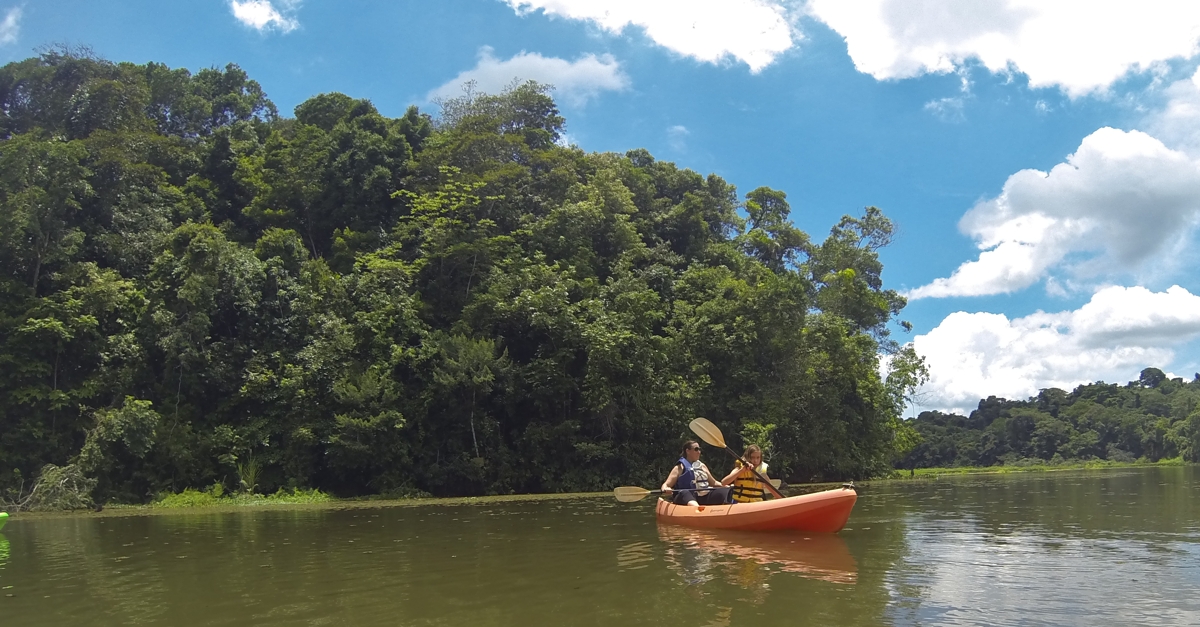 Kayaking into the jungle.