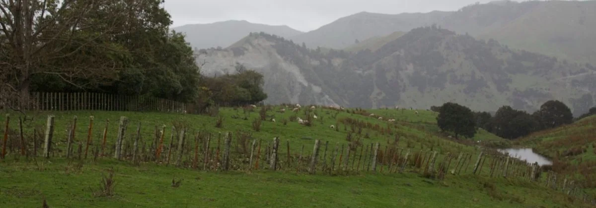 An Incredi-Bull Journey