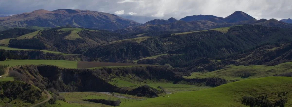 Up, Into the Foothills