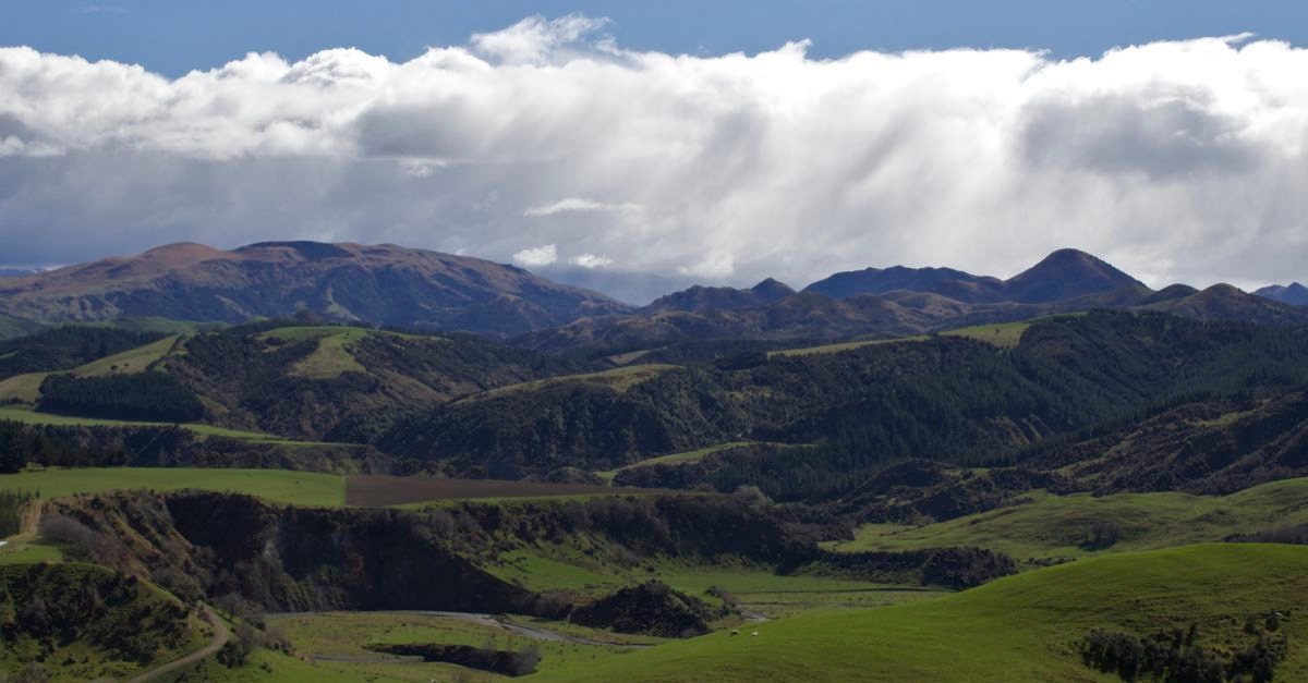 Rolling Hills of New Zealand