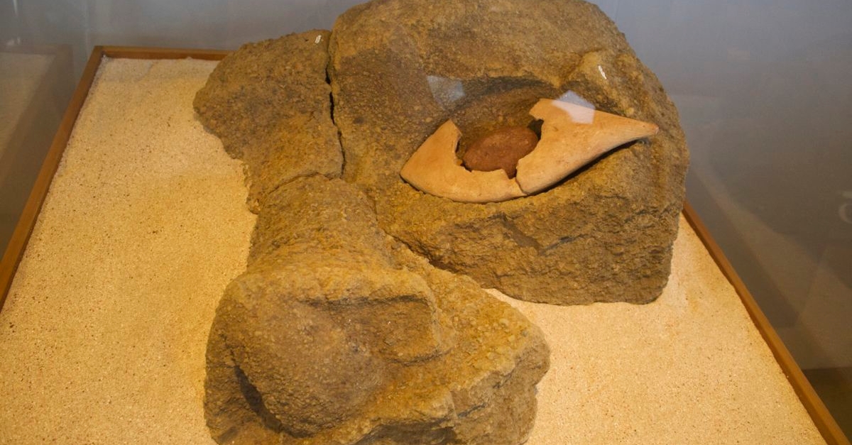 Eye of the Moai