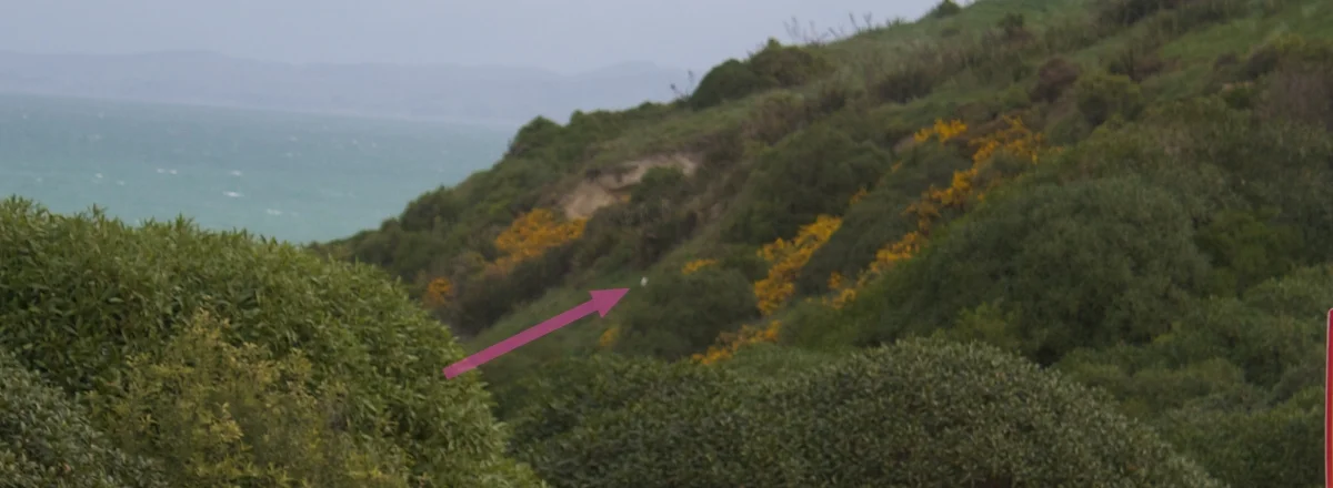 Below the 45th Parallel: A Big Day in New Zealand