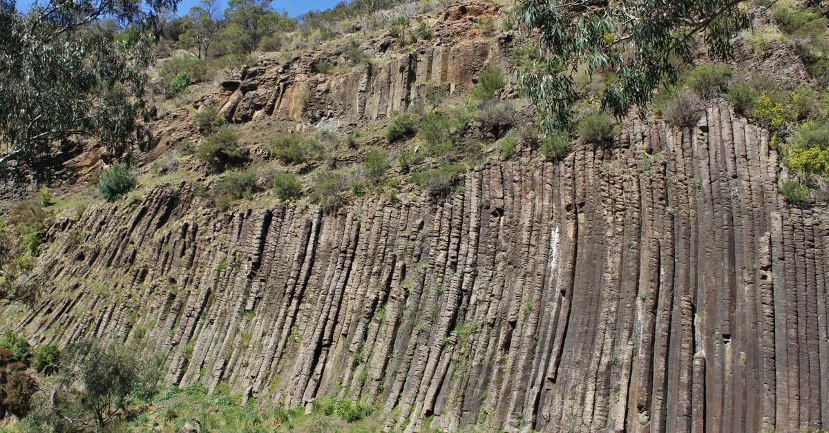 Hanging Out with the Locals