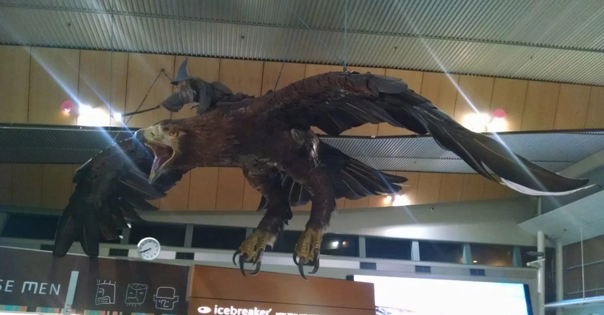 NZ097.jpg