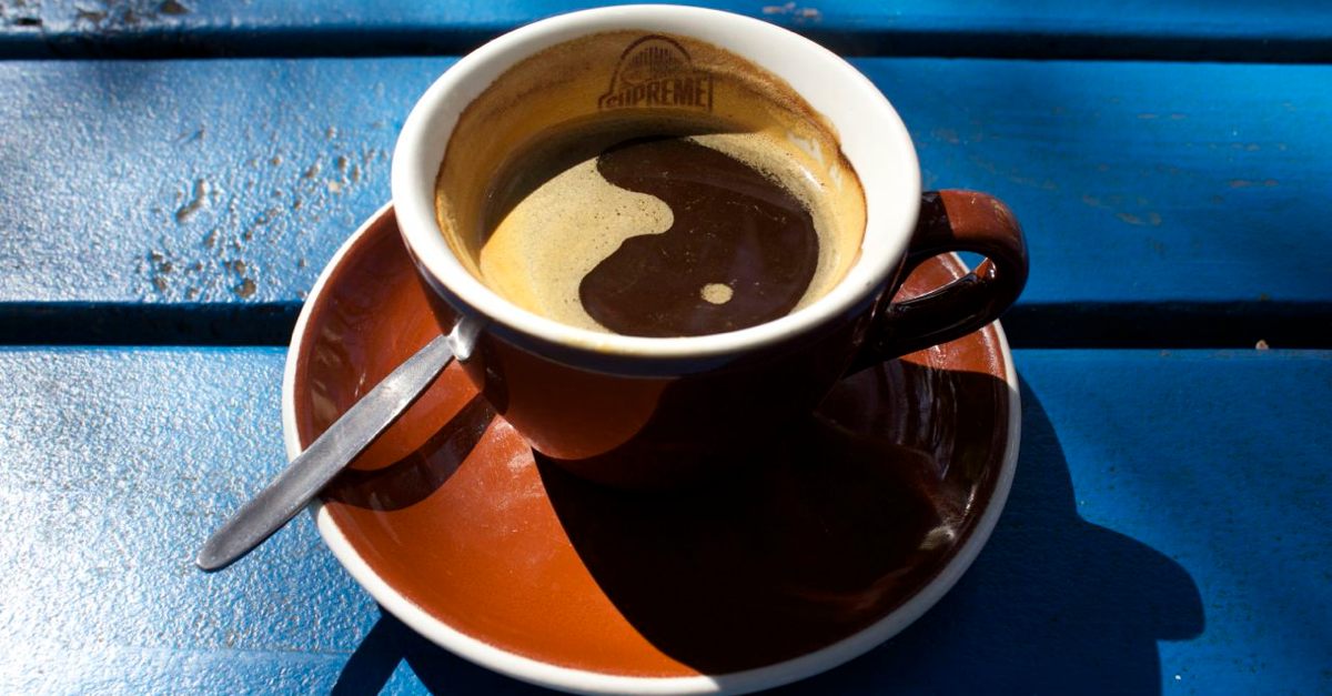 Cafe Moby