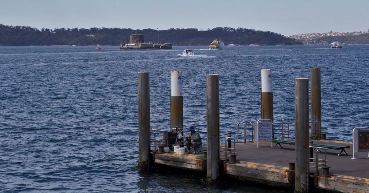 Sydney Harbour Fisherman