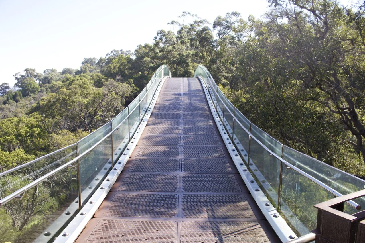 A Walk in King's Park
