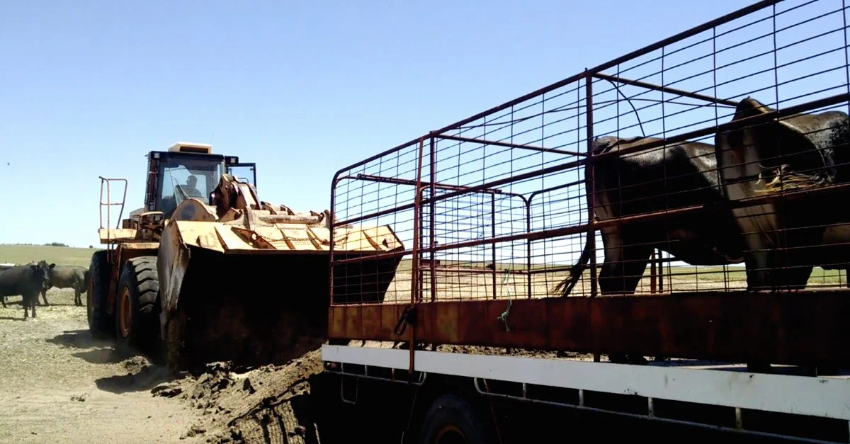 Heavy duty farming: how it's done in the WA.
