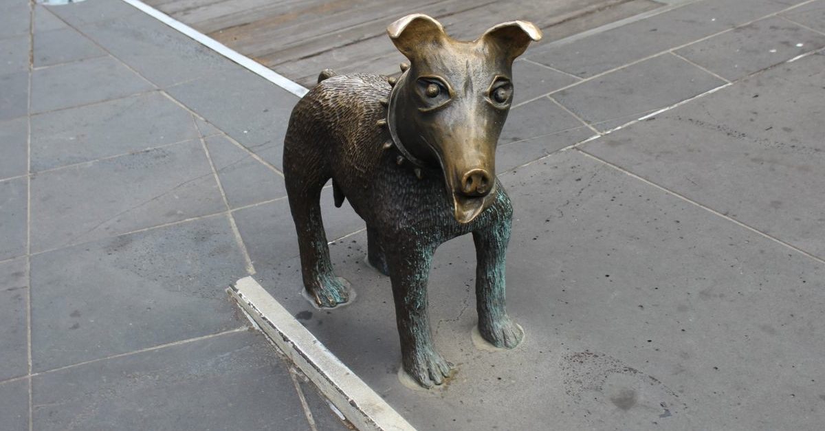 Bronze Dog