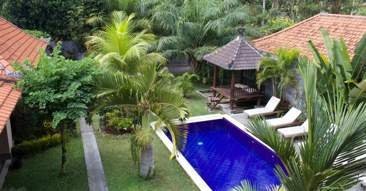 Hello, Bali!