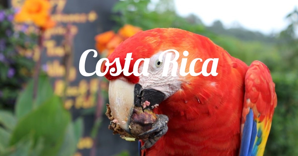 Into Costa Rica