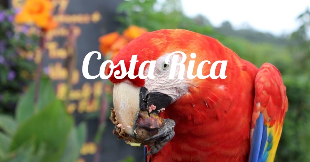 Costa-Rica-000.jpg