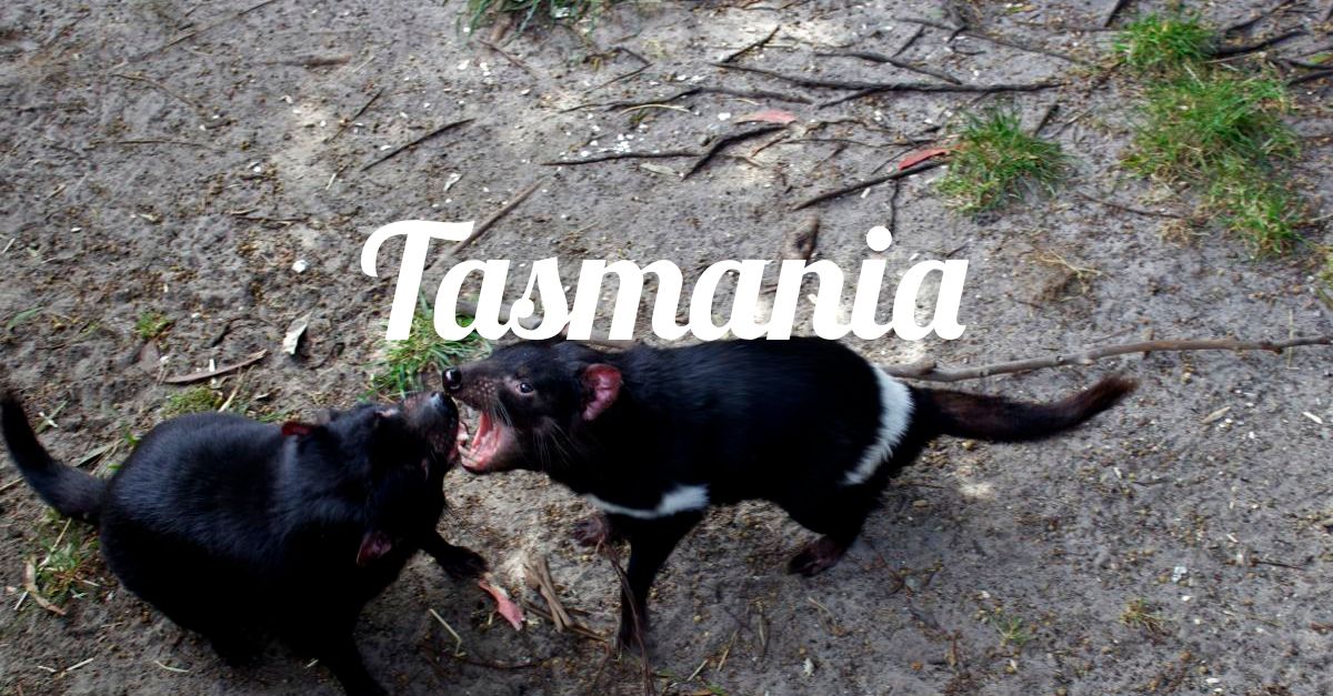 Tasmania-000.jpg