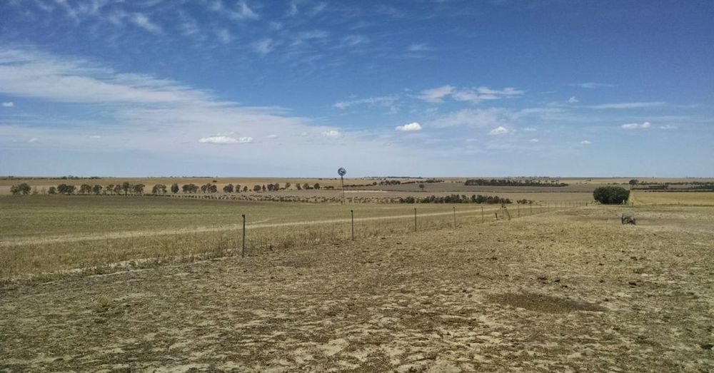 Western Australia is flat.