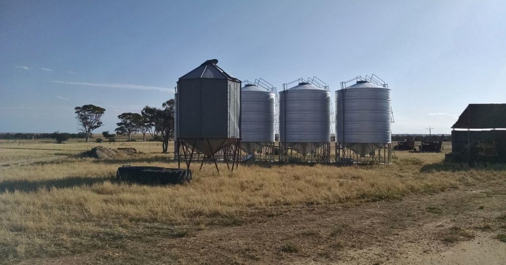 Organic Wheat Storage