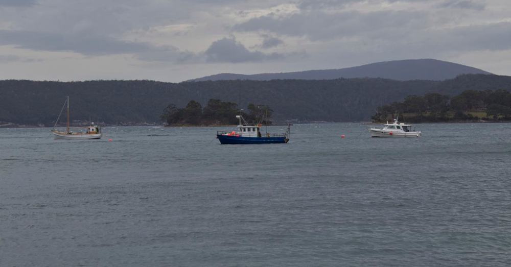 Boats in the harbour.