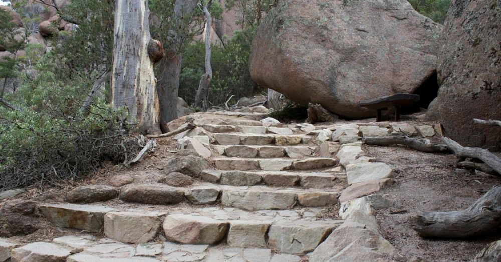 Steps to Wineglass Bay Lookout