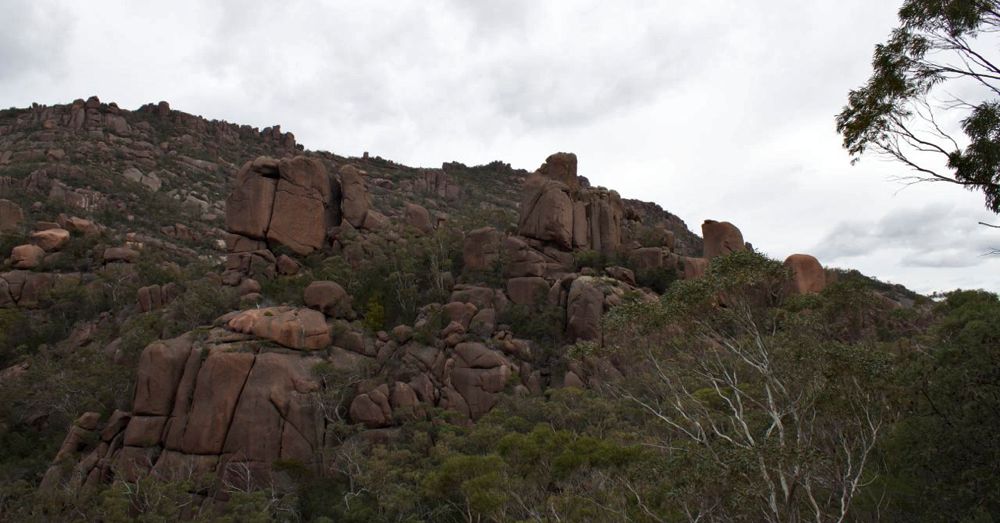 Above Wineglass Bay Lookout