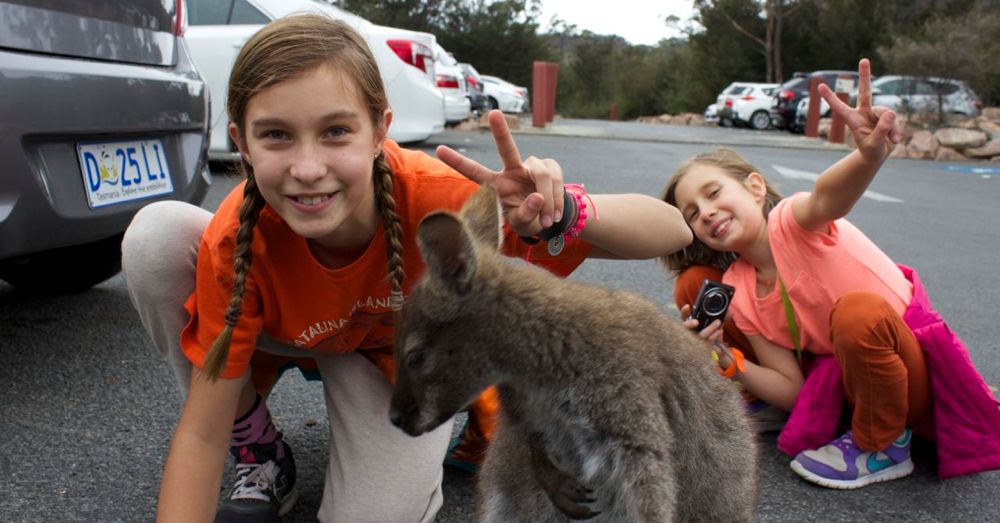 The joy of the Wallaby