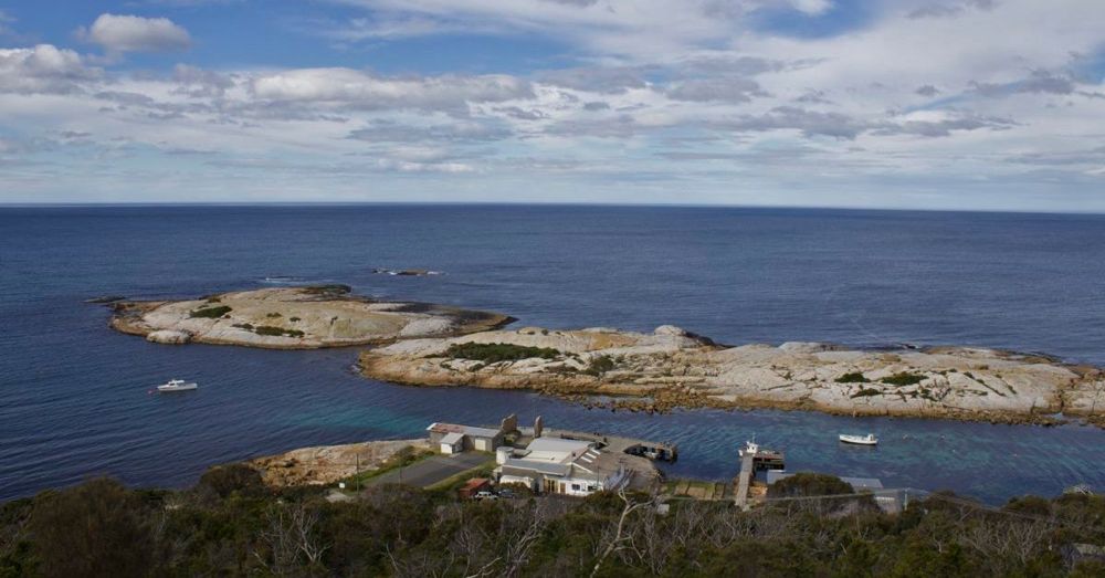 Governor's Island Marine Reserve