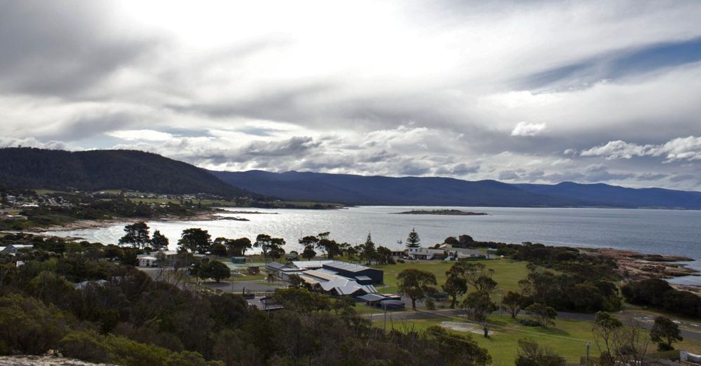 Bicheno from Whaler's Lookout