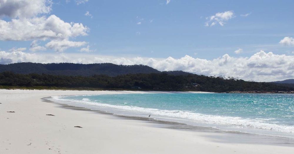 White Sands, Blue Ocean