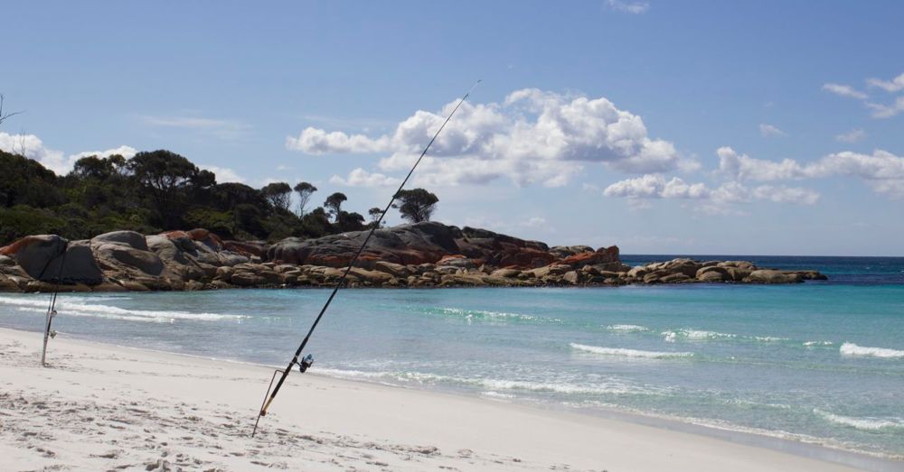 Fishing.