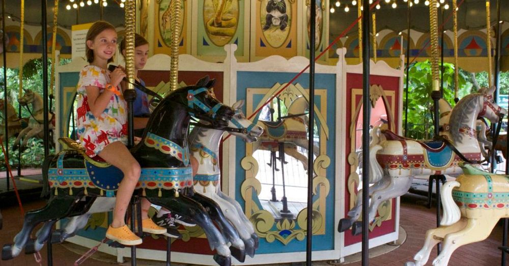 Perth Zoo: Carousel