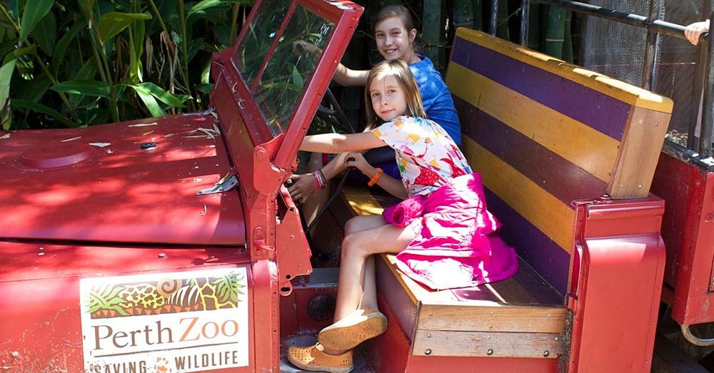 Perth Zoo: Human Girls