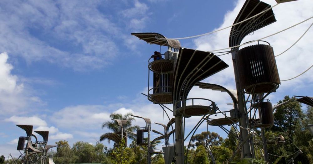 Perth Zoo: Orangutan Enclosure
