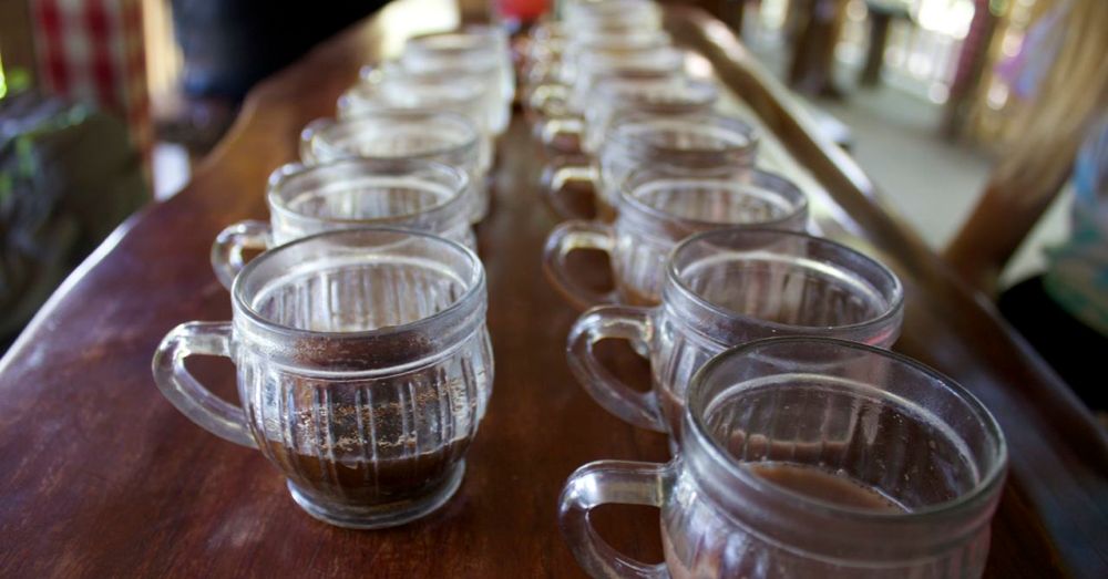 Tea & Coffee Sampling