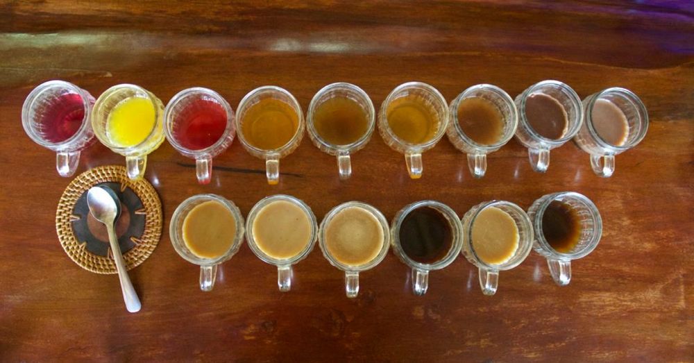 Tea & Coffee Sampling