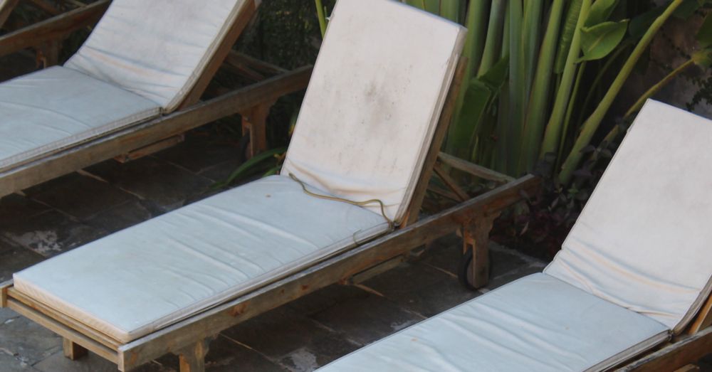 Snake at the pool.