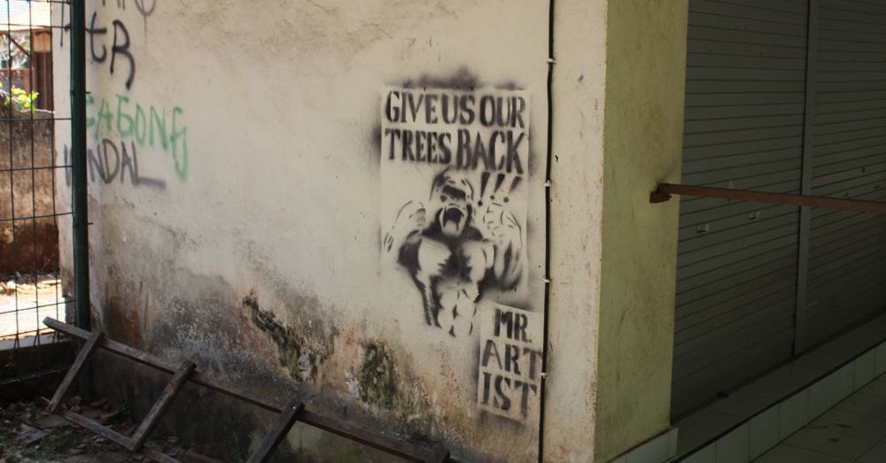 Give us back our trees.