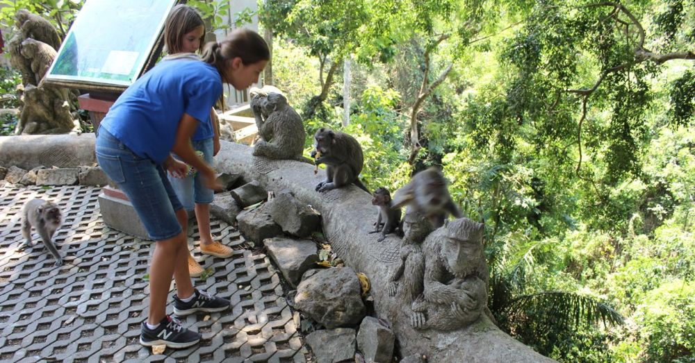 Feeding monkeys.