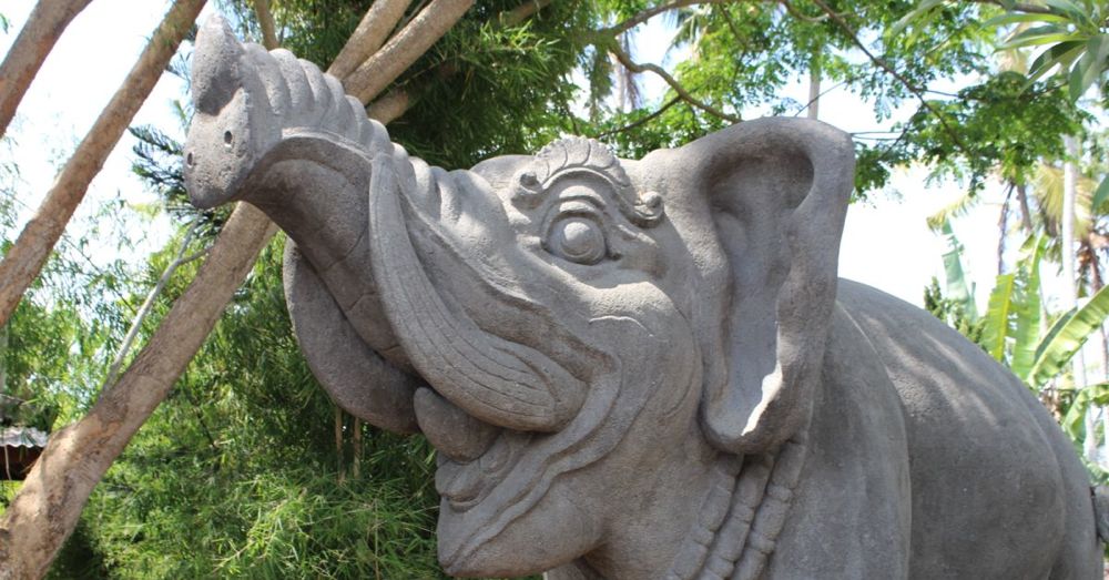 The only elephant at the elephant temple