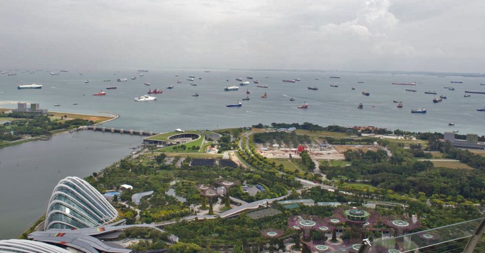 Gardens by the Bay from the SkyPark