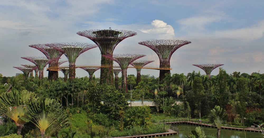 Singapore-23.jpg