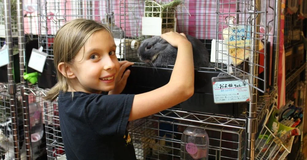 Tiny Rabbit at Ra.a.g.f