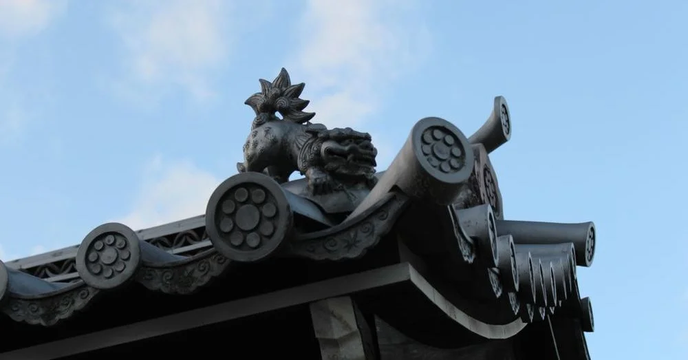 Rooftop Guardian