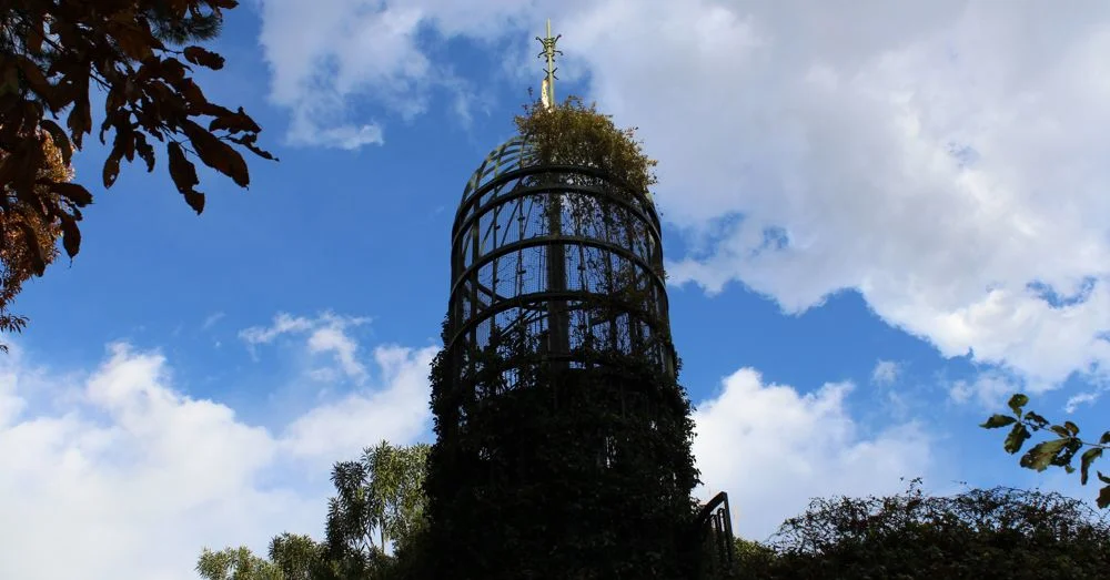 Tower to the Top