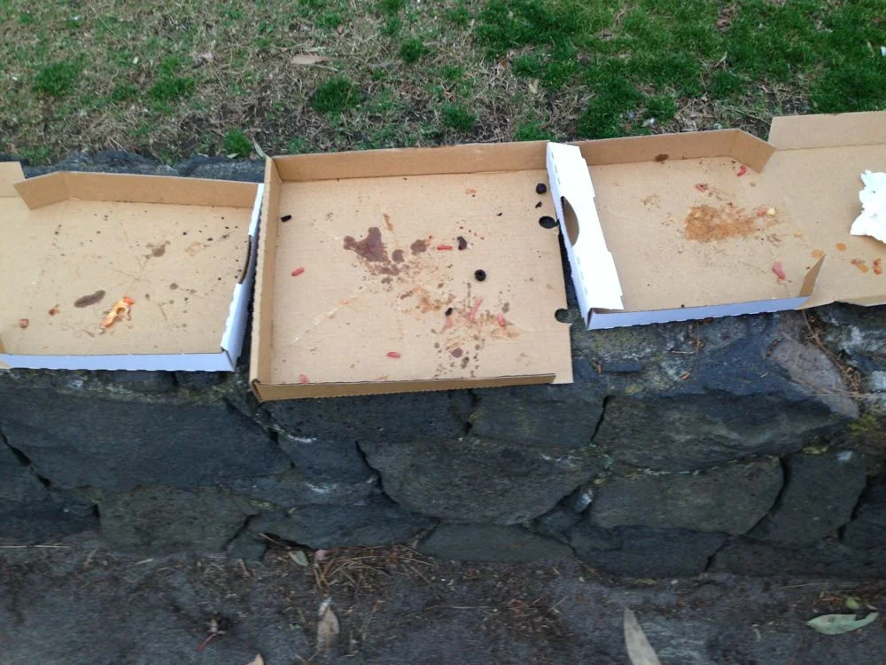 Woodfire pizza (after)