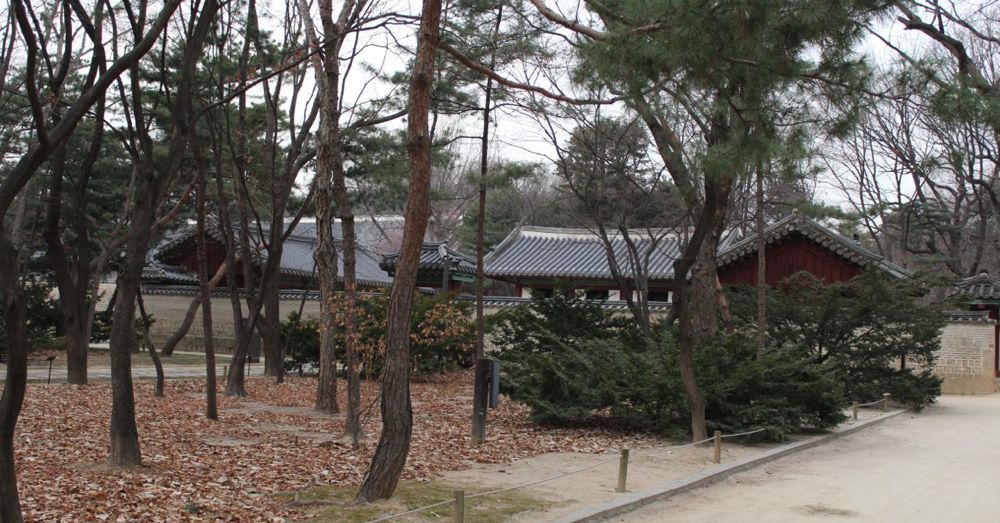 Jongmyo Shrine Grounds