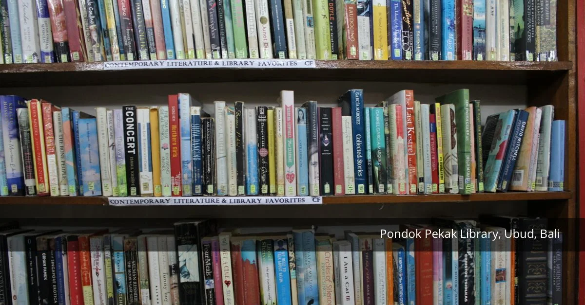 Paperback Pigeon Coos About Taking On The World