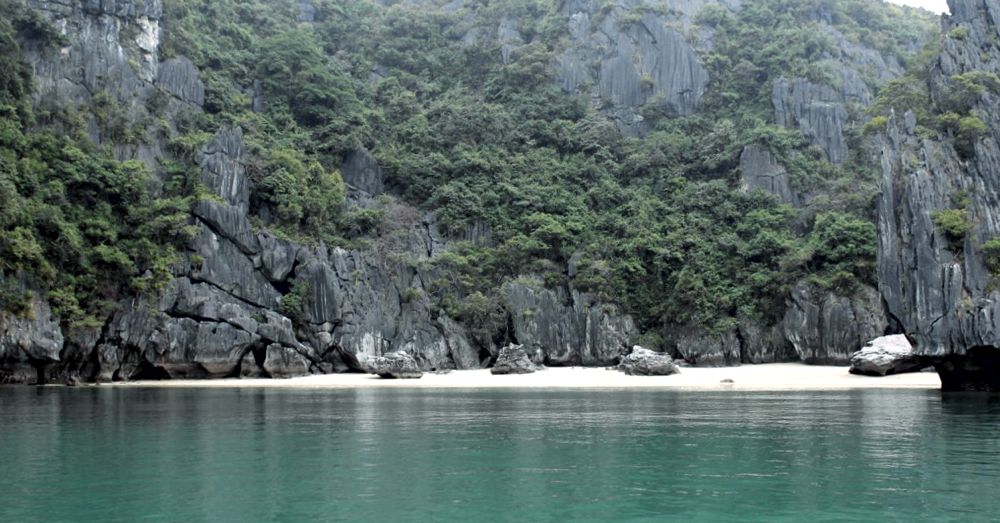 The Beach