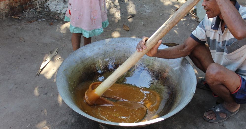 Making Palm Sugar