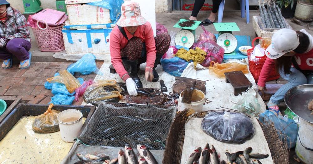 Market: Fish Lady