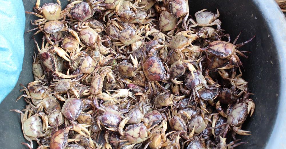 Market: Crabs